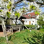 Horyzont Zdarzen - Siedlisko Ciemnego Nieba, 320m2, Sauna I Natura Na Wylacznosc Farm stay