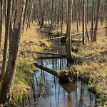 Horyzont Zdarzen - Siedlisko Ciemnego Nieba, 320m2, Sauna I Natura Na Wylacznosc Dzierzazno Male