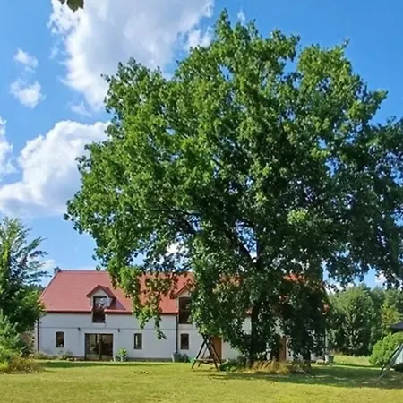 Horyzont Zdarzen - Siedlisko Ciemnego Nieba, 320m2, Sauna I Natura Na Wylacznosc *