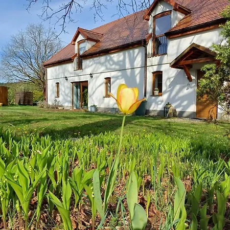 Horyzont Zdarzen - Siedlisko Ciemnego Nieba, 320m2, Sauna I Natura Na Wylacznosc Farm stay Dzierzazno Male