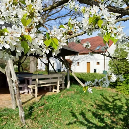 Horyzont Zdarzen - Siedlisko Ciemnego Nieba, 320m2, Sauna I Natura Na Wylacznosc Farm stay
