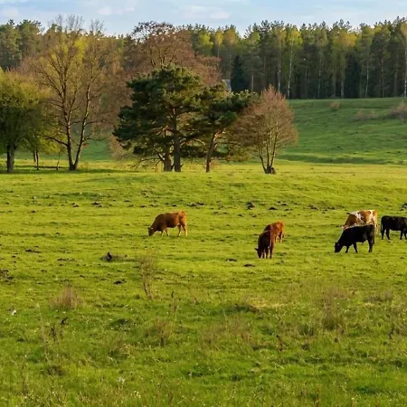 Horyzont Zdarzen - Siedlisko Ciemnego Nieba, 320m2, Sauna I Natura Na Wylacznosc