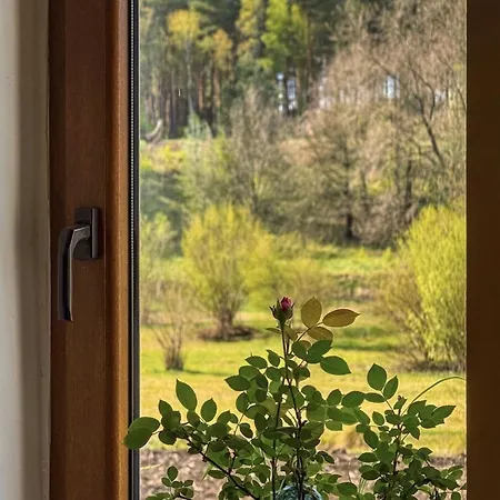 Horyzont Zdarzen - Siedlisko Ciemnego Nieba, 320m2, Sauna I Natura Na Wylacznosc