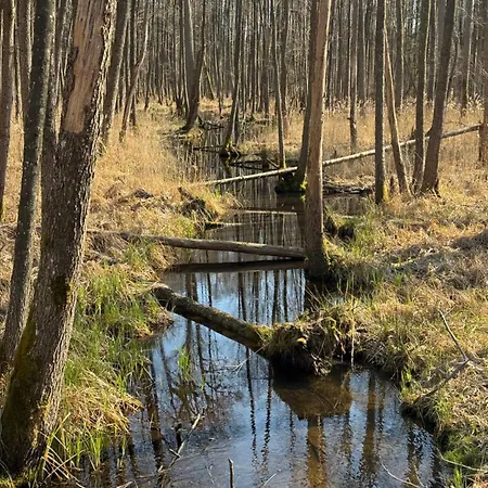Horyzont Zdarzen - Siedlisko Ciemnego Nieba, 320m2, Sauna I Natura Na Wylacznosc Dzierzazno Male