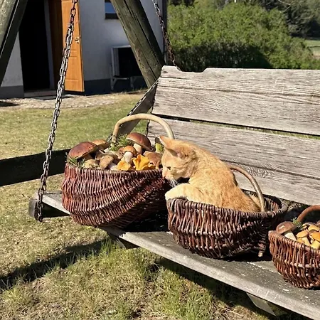 Horyzont Zdarzen - Siedlisko Ciemnego Nieba, 320m2, Sauna I Natura Na Wylacznosc * Dzierzazno Male